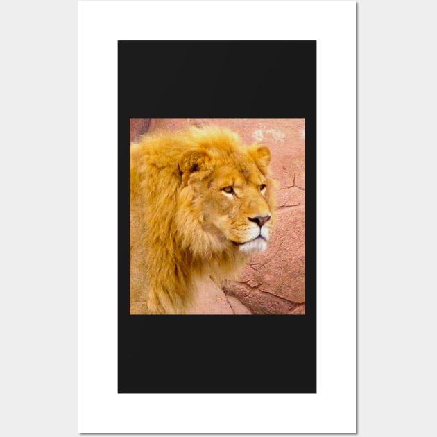 I Am Lion Hear Me Roar Wall Art by ninasilver